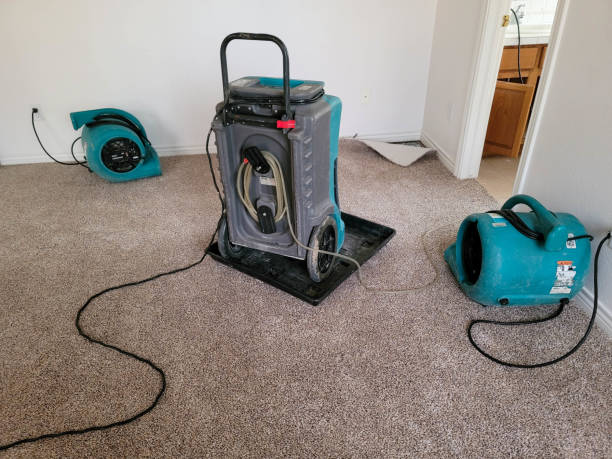 Best Mold removal after water damage  in Bainbridge Island, WA