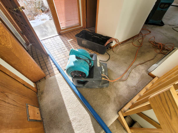 Best 24-hour water damage restoration  in Bainbridge Island, WA