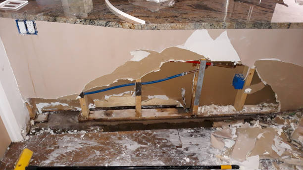 Best Carpet water damage restoration  in Bainbridge Island, WA